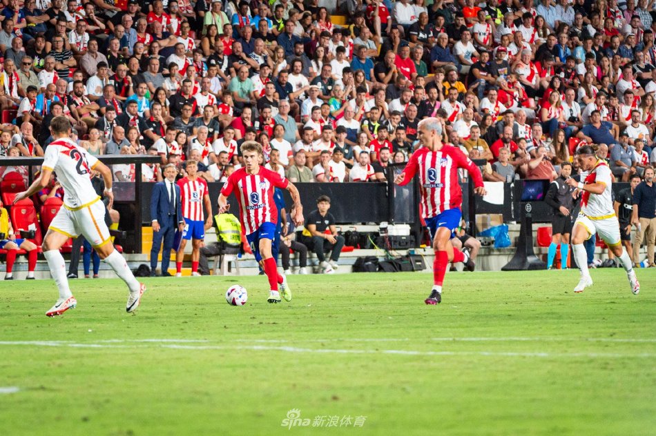 平的表现 平的表现